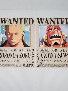One Piece Dead or Alive, Roronoa Zoro & God Usopp, 8x12 Glossy